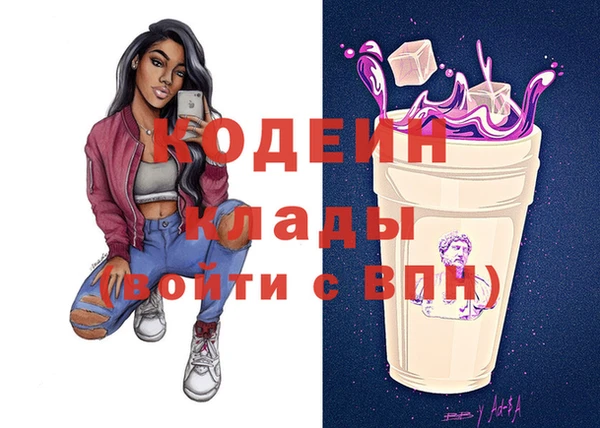 индика Арсеньев