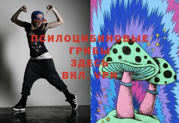 индика Арсеньев