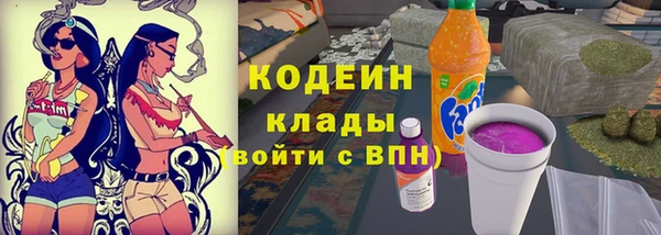 индика Арсеньев