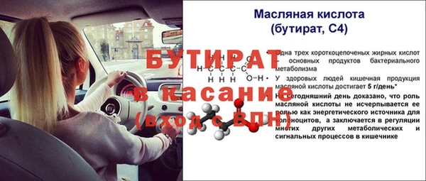 индика Арсеньев