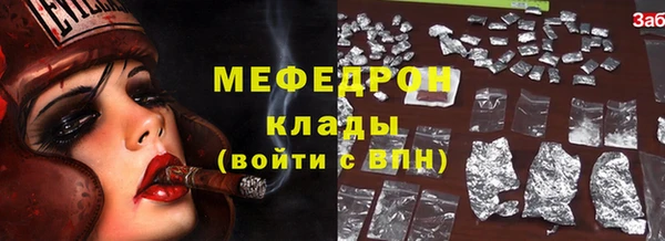 индика Арсеньев
