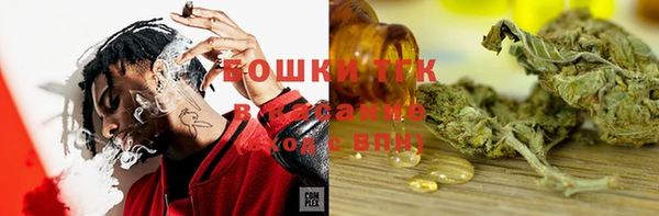 индика Арсеньев